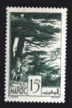 MesTimbres.fr Timbre du Maroc N°168 ** 1939/42