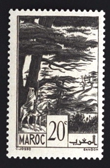 MesTimbres.fr Timbre du Maroc N°169 ** 1939/42