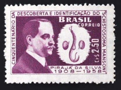 MesTimbres.fr Timbre du Brésil N°689 Neuf** 1959